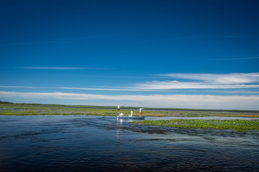 Fly fishing the Ibera Wetland of Argentina
