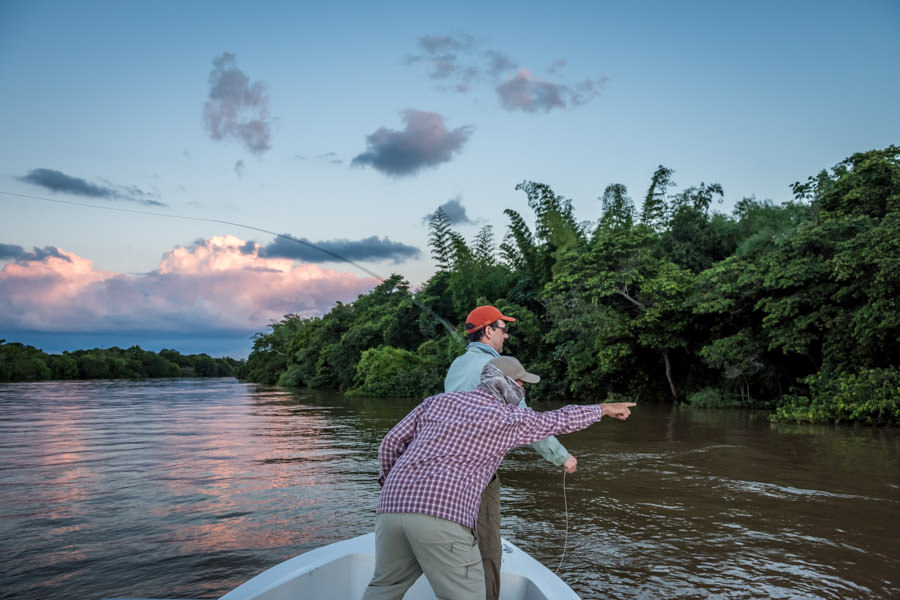 Guided fly fishing trips for Golden Dorado on the Parana in Argentina
