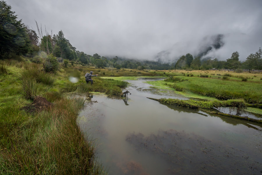 Challenging little spring creek The small camp spring creek