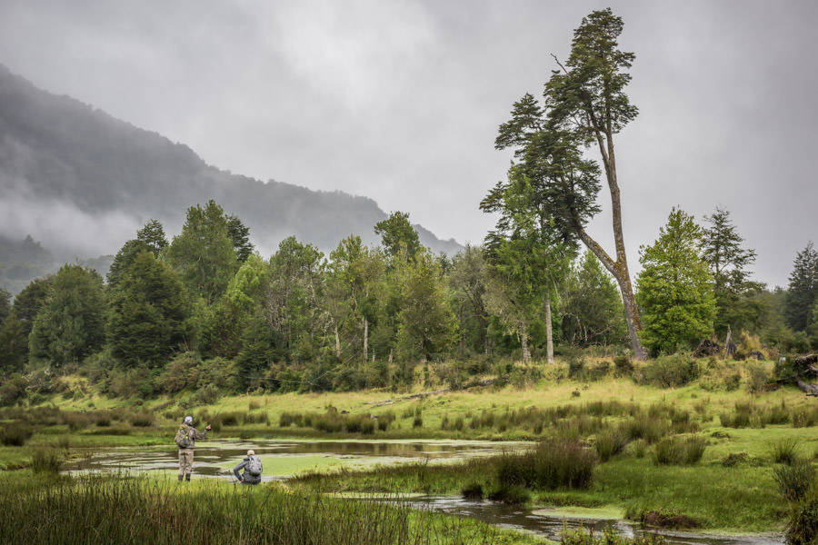 casting dries to cruising fish Lagoons at the top of the spring creek