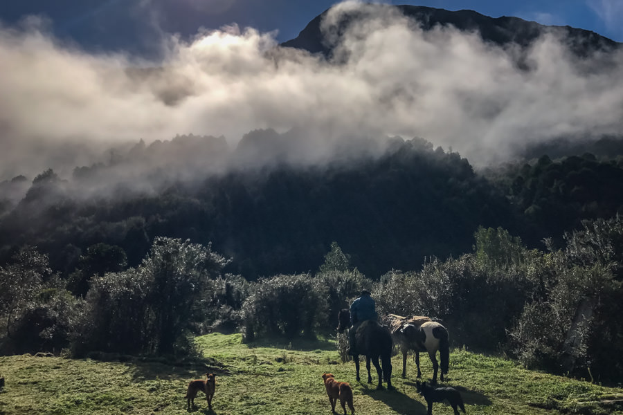 The fog lifts