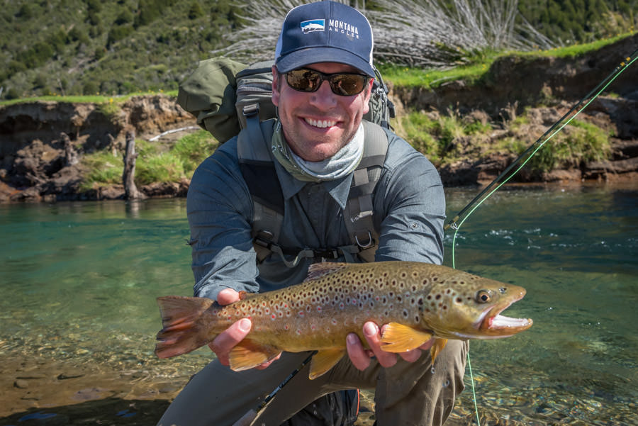 An average brown trout for this stream Healthy little brown trout