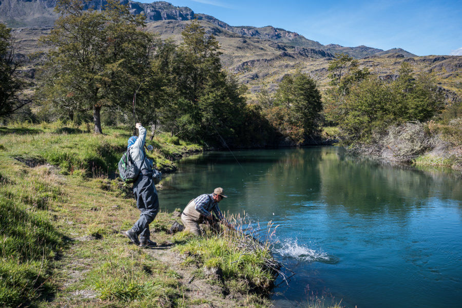 Sight fishing to wild trout on the Cochrane River in Chile Sight fishing to wild trout on the Cochrane River in Chile