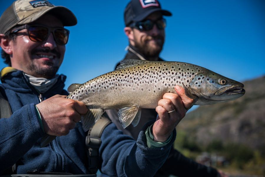 Rio Baker Brown Trout