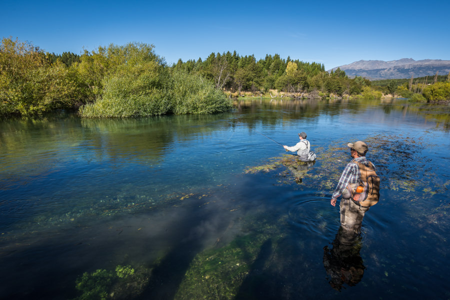 Targeting difficult fish on the Cochrane