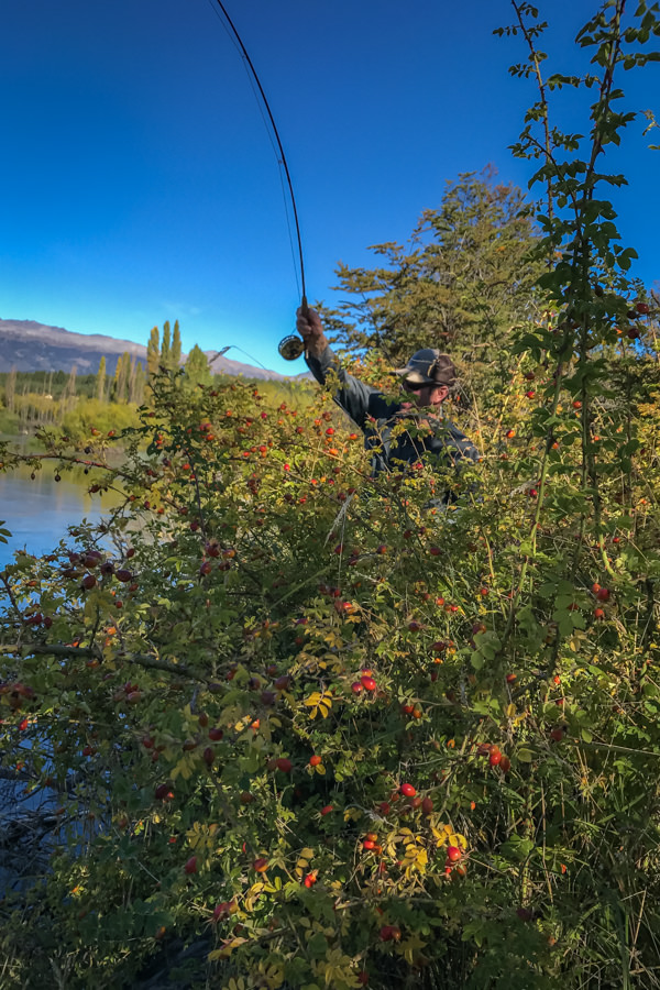 Tight fishing and casting quarters on the Cochrane