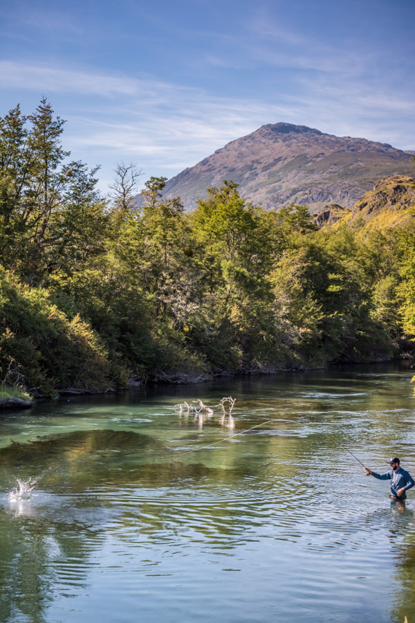 Hooked up on a heavy wild Rainbow Trout