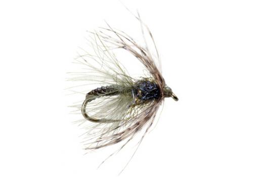 Favorite Trout Spey Flies for Montana