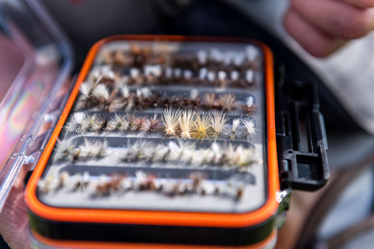 Simple, buoyant dry flies are the norm