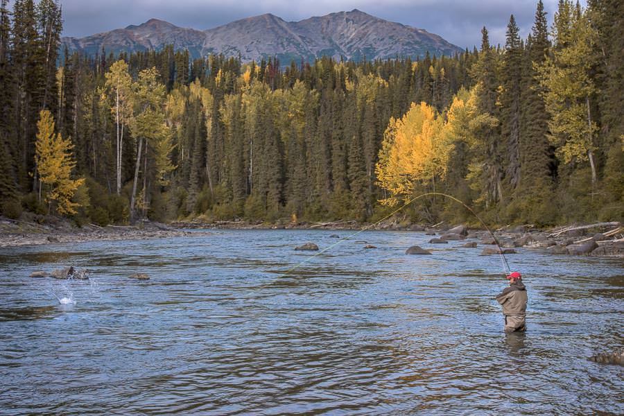 Hooked up to a steelhead in a gorgeous BC run.