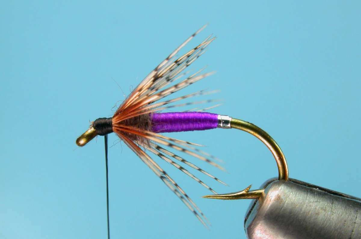 Charlie Craven's Purple Soft Hackle