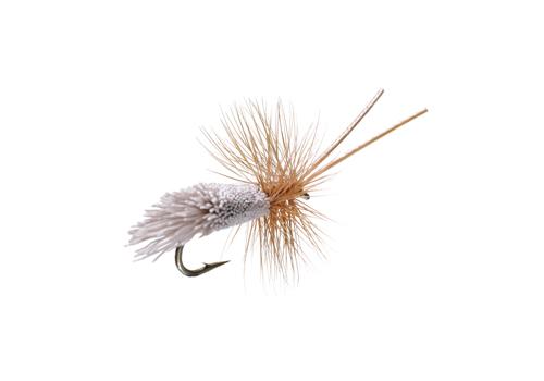 The Goddard Caddis