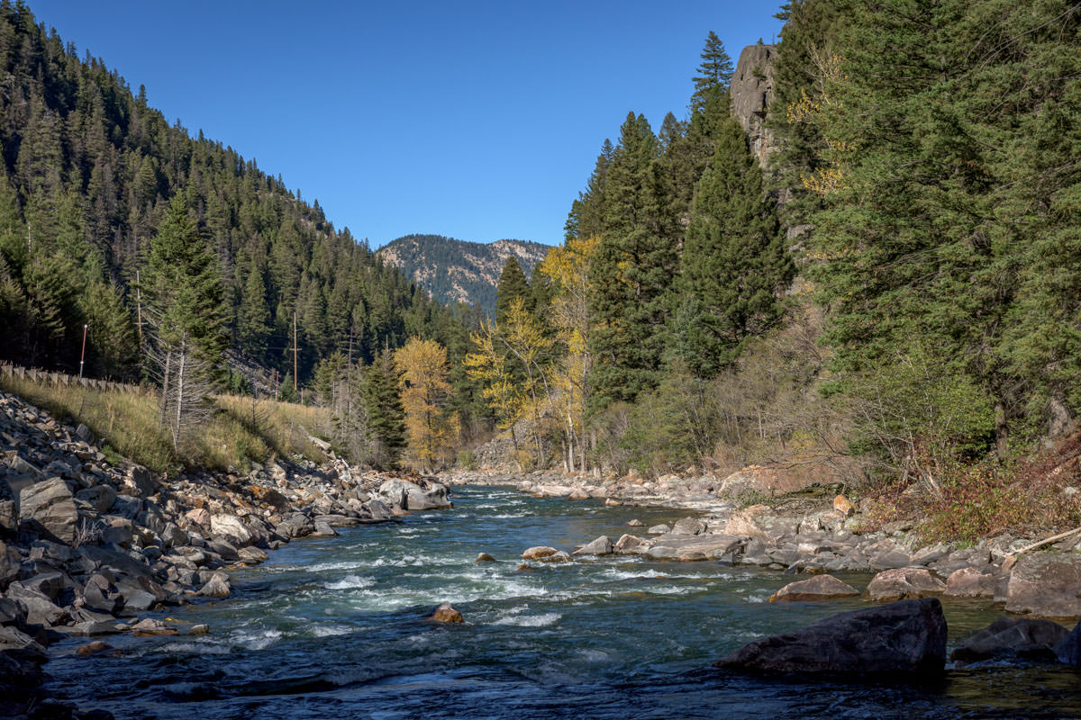 Pocket water like this spot on the Gallatin can make for some challenging trout spey fishing.