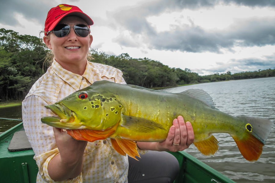 Temensis peacock bass Elizabeth holds a beautiful "Temensis" peacock bass