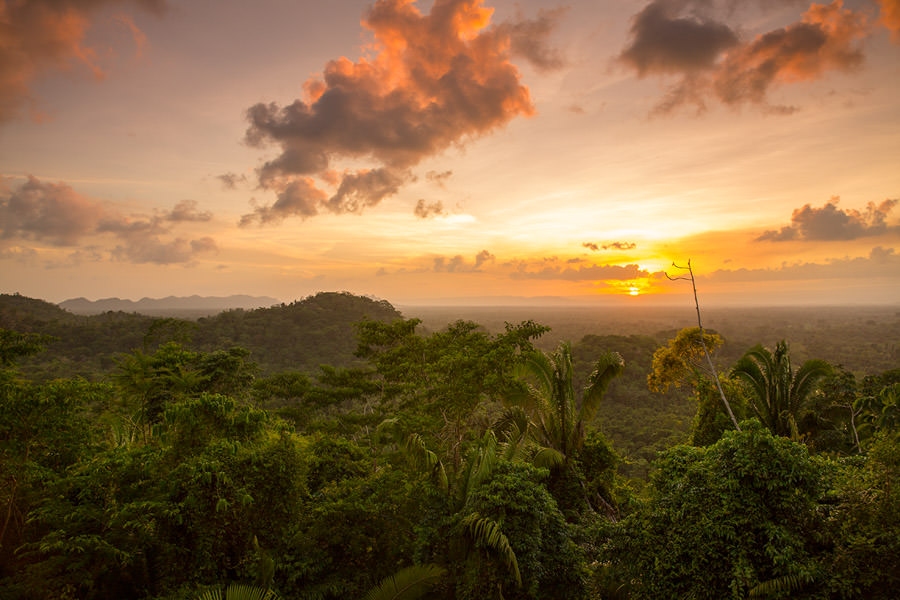 Kopal Tree Lodge views Kopal Tree sits on a hill overlooking pristine rainforest