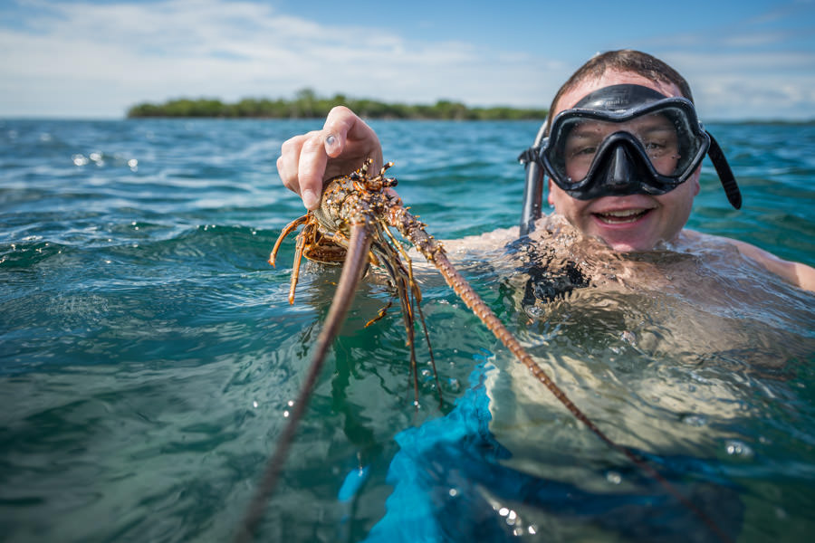 Snorkeling with the chef is a popular option. The chef will cook your freshly caught lobster for lunch!