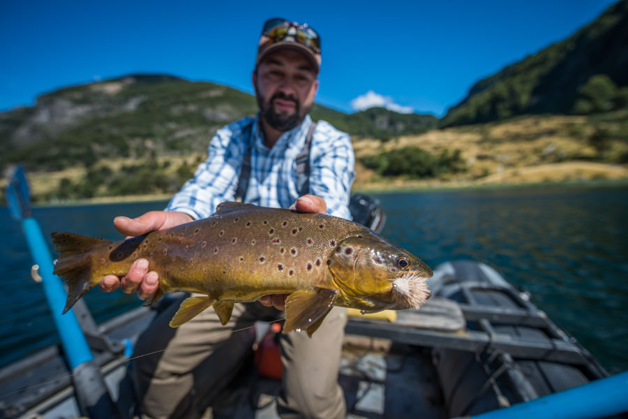 Lago Barroso brown trout Eduardo with a nice mouse eating Lago Barroso brown on the lodges home lake. I hooked a much bigger 25"+ trout the same day that jumped several feet in the air to toss the mouse pattern