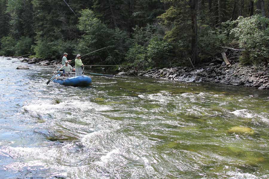 Montana Fly Fishing, Montana Fishing Guides