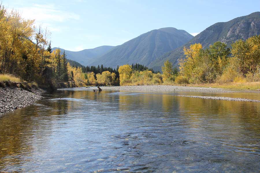 Montana Angler, Montana Fly Fishing