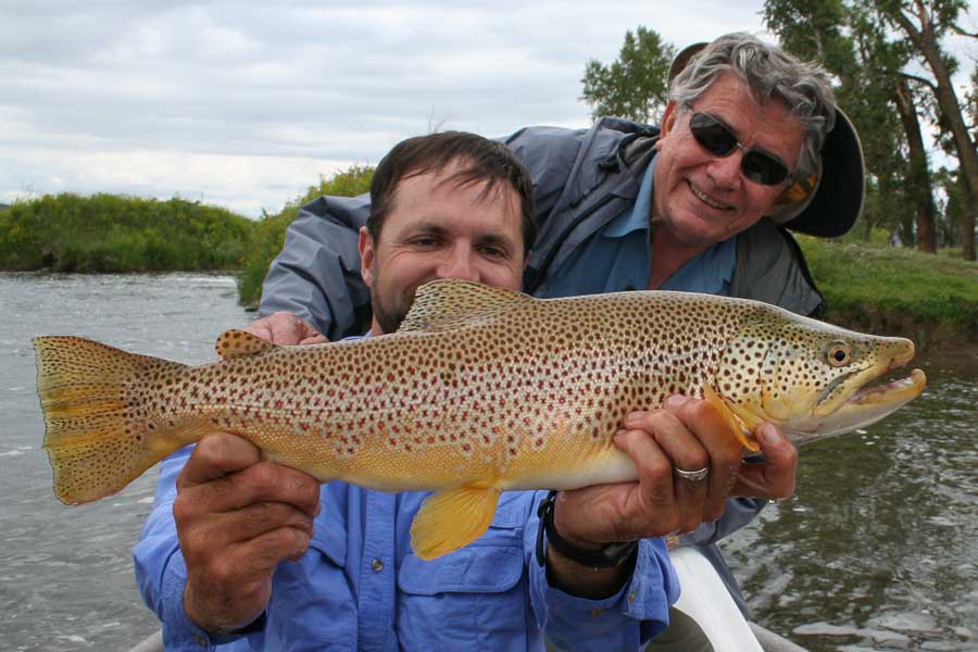 Montana Brown Trout Montana Fishing Guides, Montana Angler