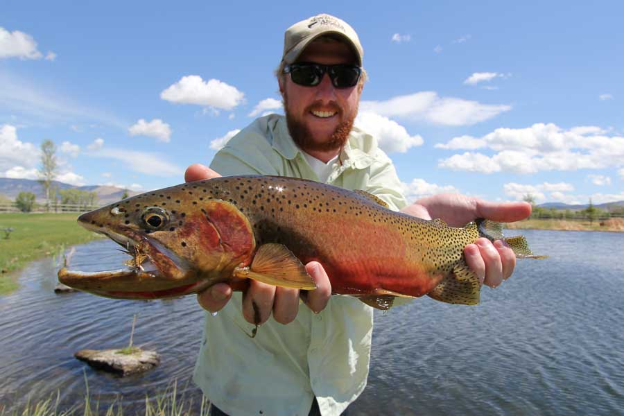Montana Cutthroat Trout Montana Fishing Trips, Montana Angler
