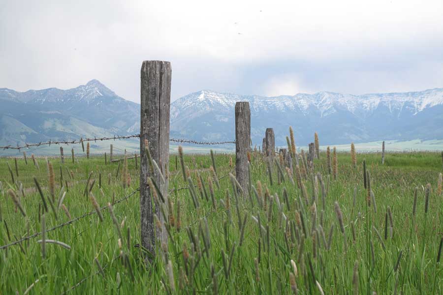 Valley Scenery Montana Angler, Montana Fishing Lodges