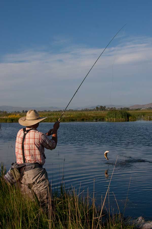 Hooked Up Montana Angler Fly Fishing