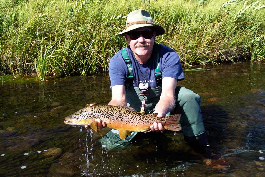 Nice Brown Montana Fishing Lodges, Montana Fishing Vacations