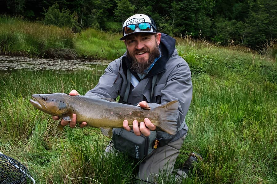 The spring creek near camp produced some aggressive browns 