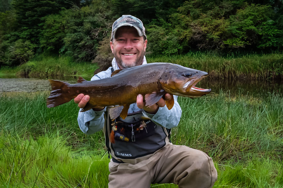 Another nice spring creek brown in the Blanco camp