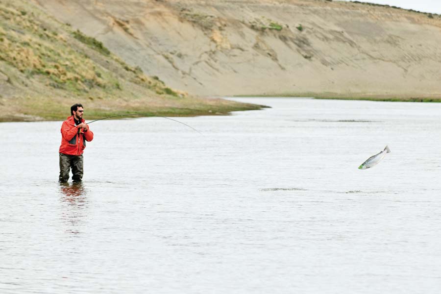 Jumping Brown Montana Angler Fly Fishing Destinations