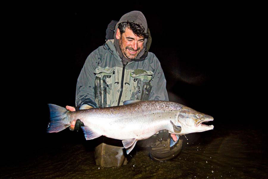 Chrome Brown Montana Angler Destination Fishing Trips