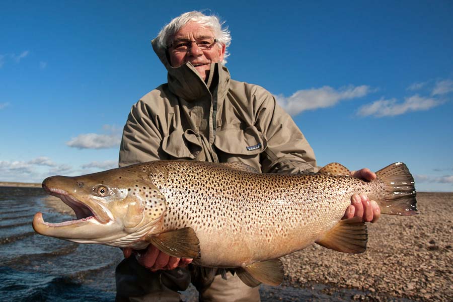 Big Sea Run Brown Montana Angler Fly Fishing Travel