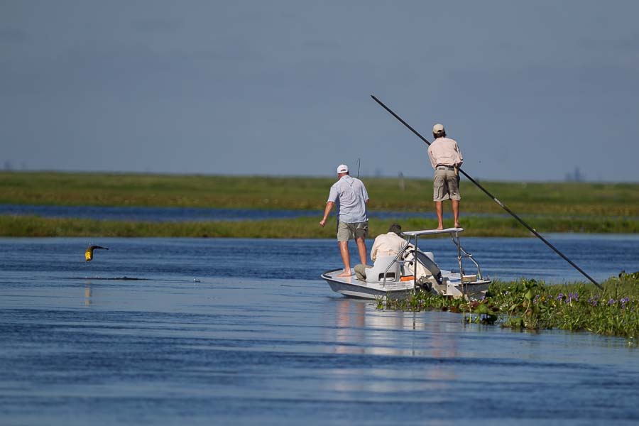 Montana Angler Hosted Trips