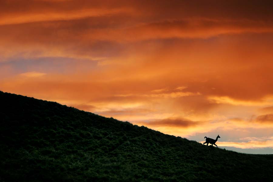 Sunset Argentina Fly Fishing Trips