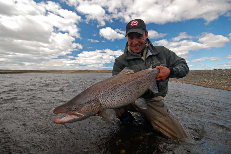 Nice Brown Argentina Sea Run Brown Trout Fishing