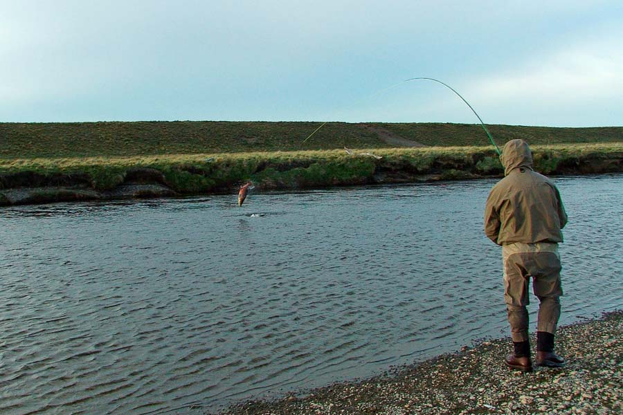 Fishing for Browns Rio Grande Fly Fishing Trips