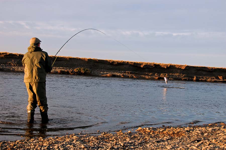 Hooked Up Rio Grande Fly Fishing