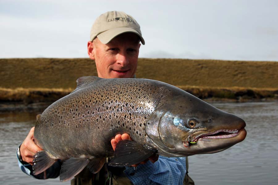 Big Brown Fishing for Sea Run Brown Trout