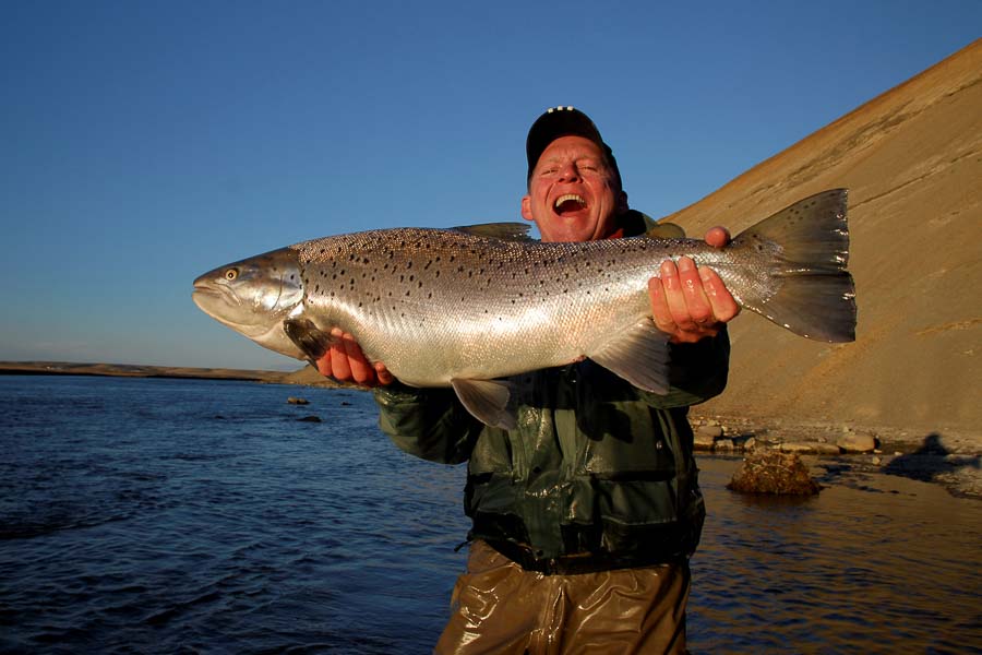 Big Brown Rio Grande Brown Trout Fishing