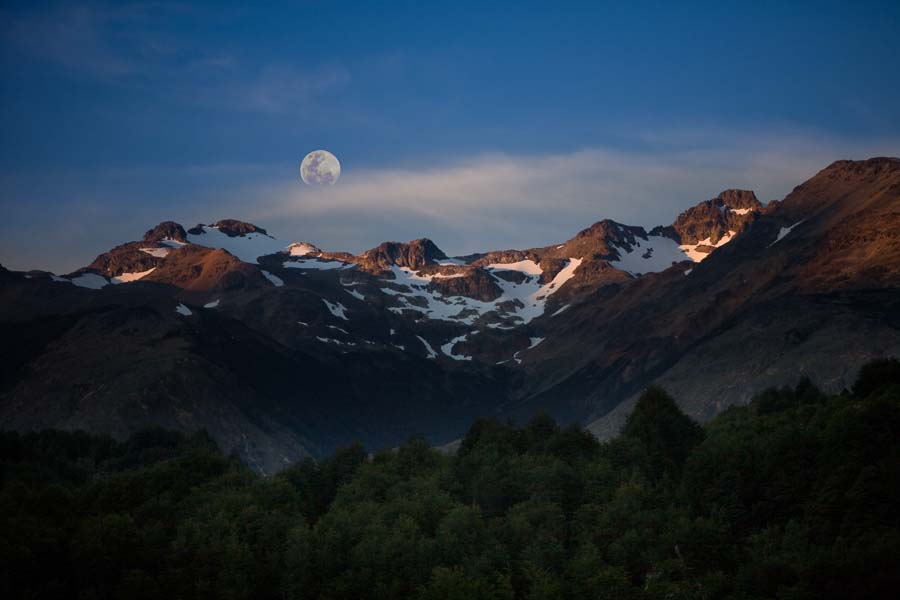 Montana Angler Fishing Guides