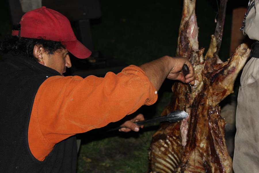 Montana Angler Fly Fishing Trips