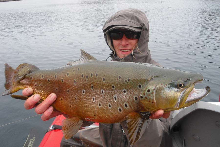 Trout Fishing in Patagonia Montana Angler