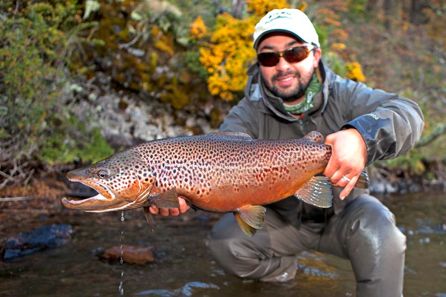 Chile Fly Fishing - Magic Waters Lodge with Montana Angler