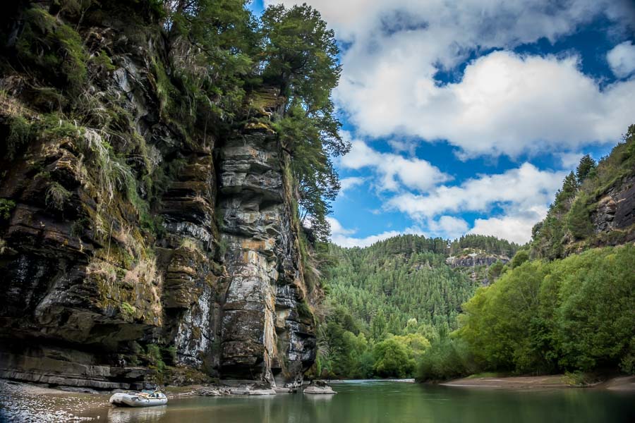 Montana Angler International Travel