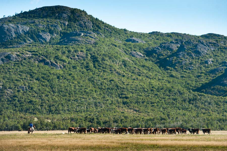 Montana Angler International Fly Fishing