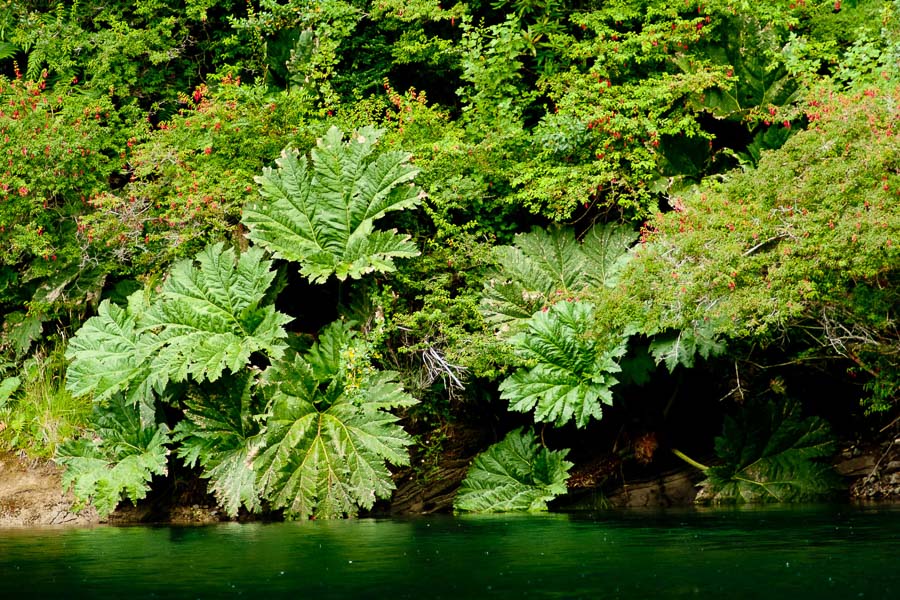 Montana Angler Fly Fishing Travel