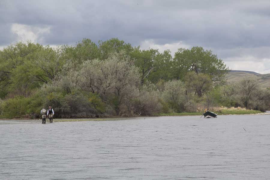 bighorn river scenic