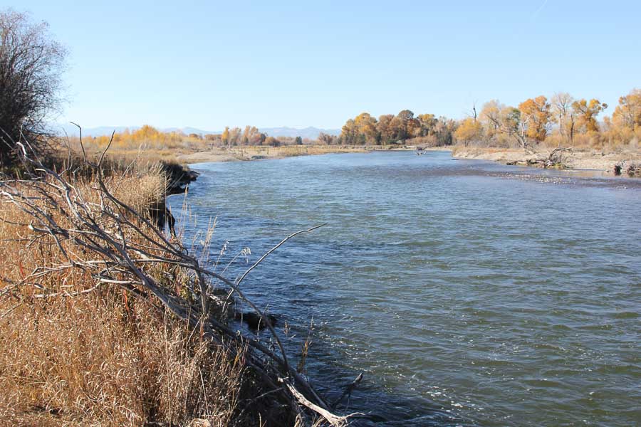 Jefferson River Fly Fishing Montana Angler Fly Fishing