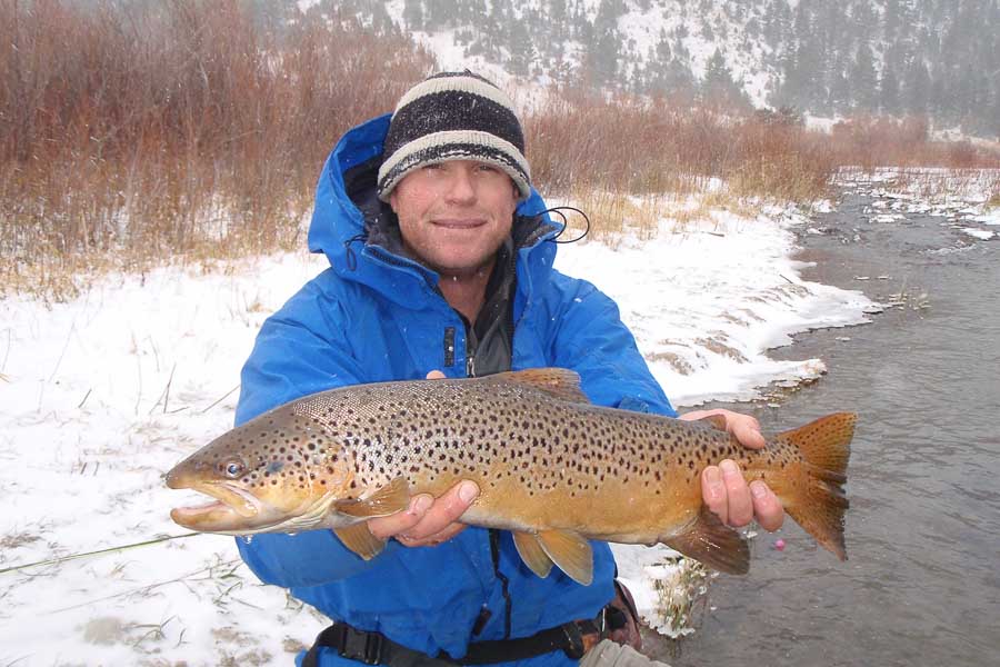 big brown missouri river